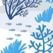 珊瑚