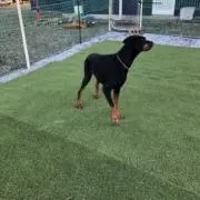るるるの画像