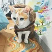 くろろんの画像