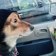 ゆぅちゃまの画像