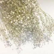 yuの画像