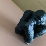 ゴリラgorillaの画像