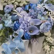 aria【購入時プロフご確認ください】の画像