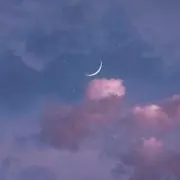 pemiの画像