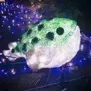 Image of lalalashop⭐️
