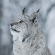 083の画像