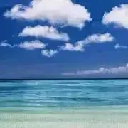 きらりの画像