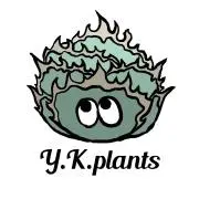 Y.K.plantsの画像