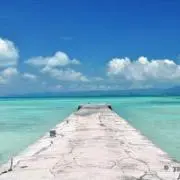 トミーのパン最高の画像