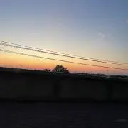 ゆうなぎの画像