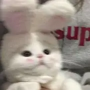 mimiiの画像