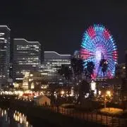 さな鯉