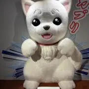 prmの画像