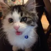 ま〜