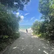Lilyの画像