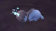 ろいあの画像