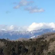 洋
