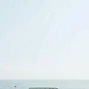 きゅぴたんの画像