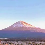 スマイルの画像