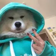 ユユの画像