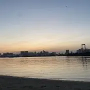 一石二鳥の画像