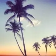 ＊＊＊＊＊の画像