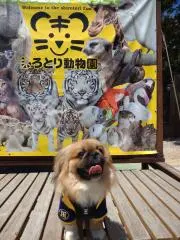 you3の画像