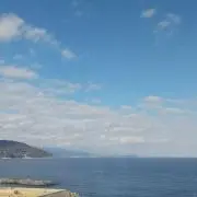 ゆみゆみみの画像