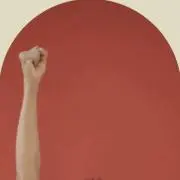 BravoLifeの画像