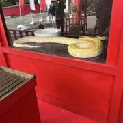 りりぃ(プロフ必読m(__)m)