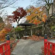 M Yoshiの画像
