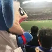 なつきの画像