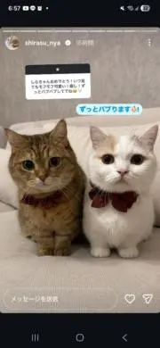 にぼしらの画像
