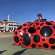 さくらもちの画像