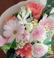 ぽてとちっぷの画像
