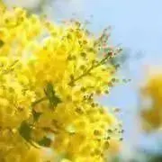 Haru⭐︎の画像