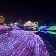 sayaの画像