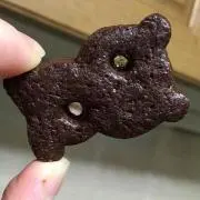 Rの画像