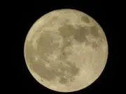 ケンちゃんの画像