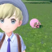 Cirlの画像