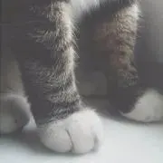 muの画像