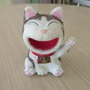 カナコーレの画像