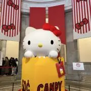 アオイの画像