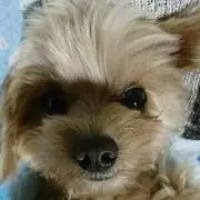 ゆぅの画像