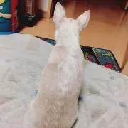 なべ