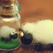 sheep*