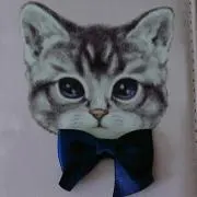 ココアの画像
