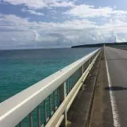 ぶんけの画像