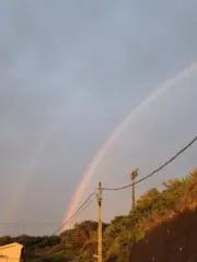 りもの画像