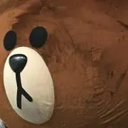 はなの画像